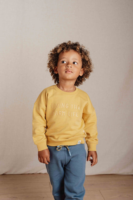 Little Dutch Baby Sweater Mustard Yellow