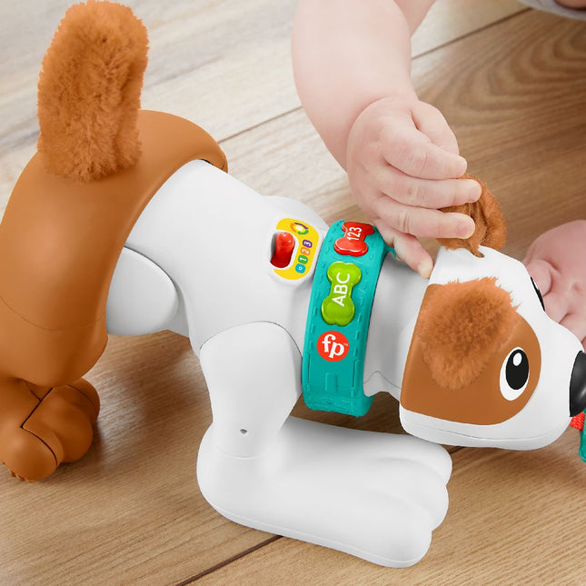 Fisherprice 123 Kruip Met Mij Puppy - Babywinkel - 0194735068159